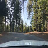 Review photo of Wench Creek Campground by Cassidy Y., June 30, 2020