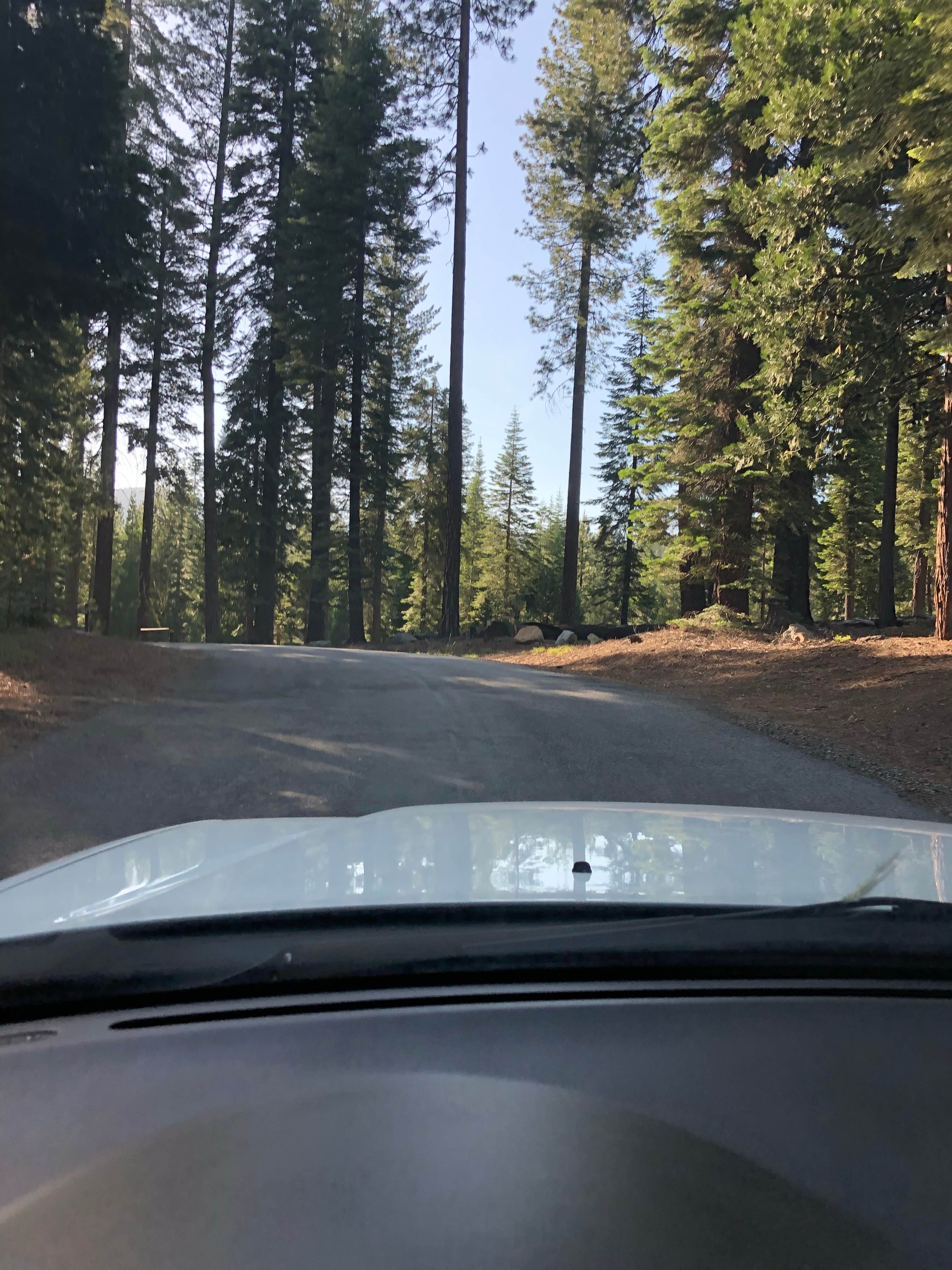 Camper submitted image from Wench Creek Campground - 2