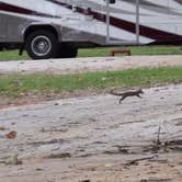 Review photo of Hidden Treasure RV Resort by Cheryl G., June 30, 2020