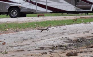 Cheryl G.'s photo of rv camping at Hidden Treasure RV Resort near Anacoco, LA