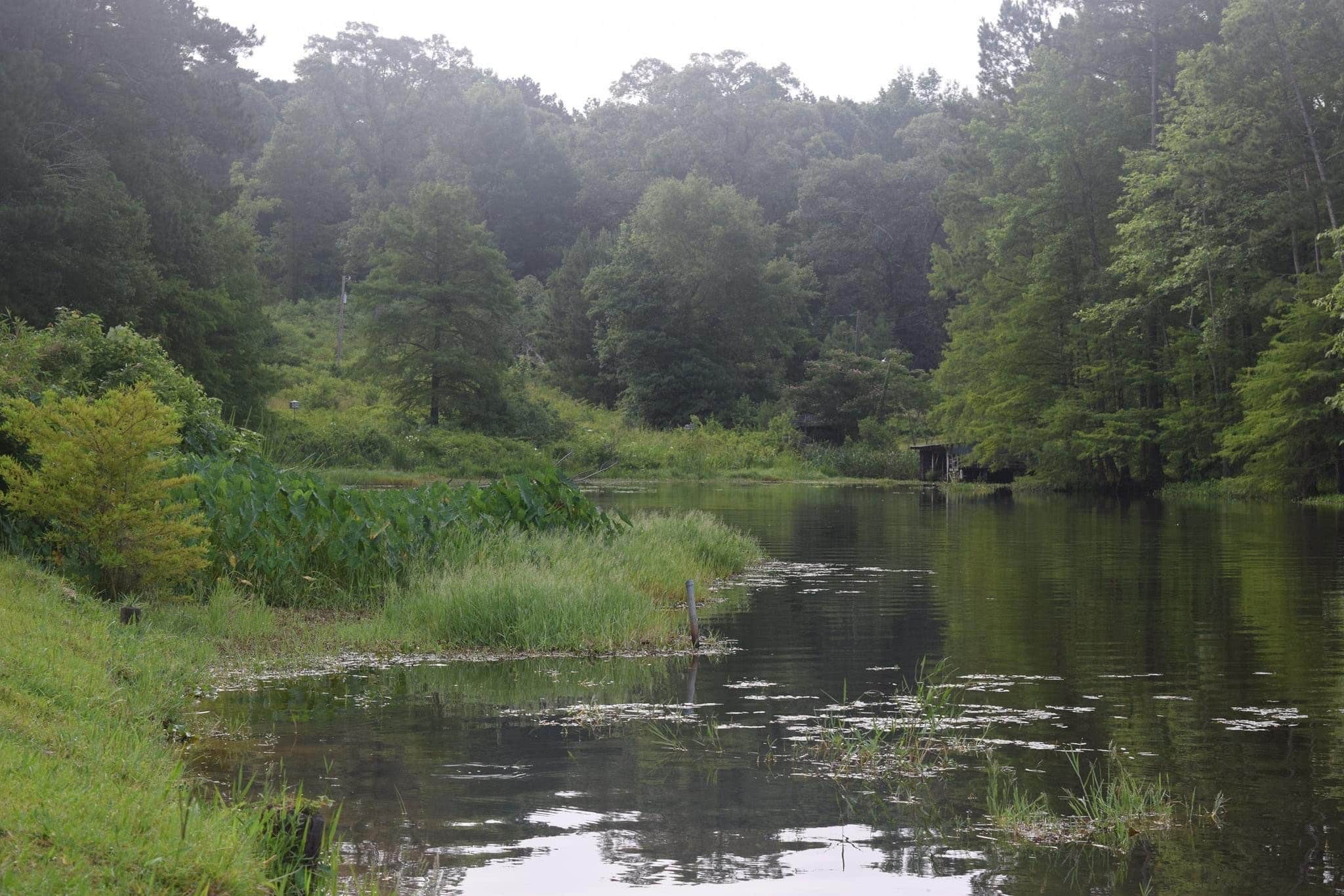 Camper-submitted photo at Hidden Treasure RV Resort near Bentley, LA