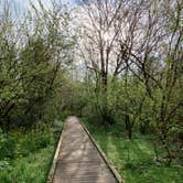 Review photo of Bayou Segnette State Park Campground by Bounding Around , June 30, 2020