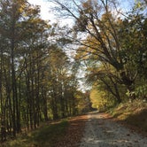 Review photo of Daniel Boone National Forest Boat Gunnel Group Campground by Daniel S., November 1, 2017