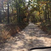Review photo of Daniel Boone National Forest Boat Gunnel Group Campground by Daniel S., November 1, 2017