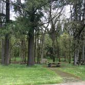 Review photo of Champoeg State Heritage Area Campground by Brian C., September 26, 2016