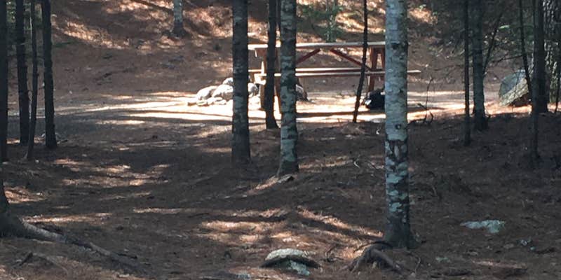 Camper submitted image from Gassabias Lake campsites