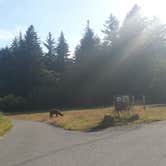 Review photo of Elk Prairie Campground — Prairie Creek Redwoods State Park by PATRICK  S., July 2, 2016