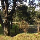 Review photo of Barview Jetty County Campground by Brian C., November 1, 2017