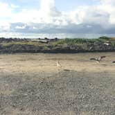 Review photo of Barview Jetty County Campground by Brian C., November 1, 2017
