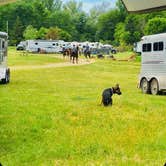 Review photo of Haycreek Valley Campground by Olivia  R., June 30, 2020