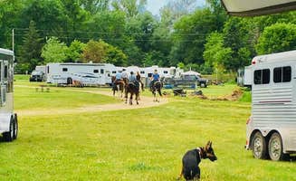 Olivia  R.'s photo of camping with pets at Haycreek Valley Campground near Spring Valley, WI