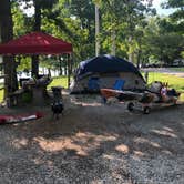 Review photo of COE Pomme de Terre Lake Nemo Park by Josh S., June 30, 2020