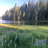 Review photo of Camino Cove Campground by Cassidy Y., June 27, 2020