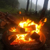 Review photo of Mile High Campground — Great Smoky Mountains National Park by Courtney H., June 30, 2020