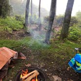 Review photo of Mile High Campground — Great Smoky Mountains National Park by Courtney H., June 30, 2020