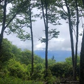 Review photo of Mile High Campground — Great Smoky Mountains National Park by Courtney H., June 30, 2020