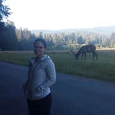 Review photo of Elk Prairie Campground — Prairie Creek Redwoods State Park by PATRICK  S., July 2, 2016