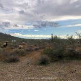 Review photo of Cave Creek Regional Park by Val W., June 29, 2020