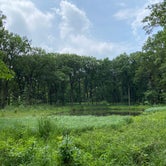 Review photo of Camp Reinberg by The School for  Y., June 30, 2020