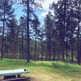 Review photo of Sheridan Lake South Shore Campground by Laura K., June 30, 2020