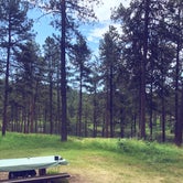 Review photo of Sheridan Lake South Shore Campground by Laura K., June 30, 2020