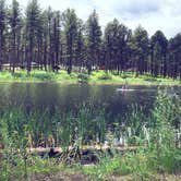 Review photo of Sheridan Lake South Shore Campground by Laura K., June 30, 2020