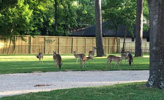 Phil B.'s photo of camping with pets at Triple-B RV Park - Lakeside near Coldspring, TX