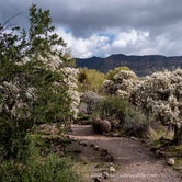 Review photo of Usery Mountain Regional Park by Val W., June 30, 2020