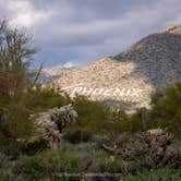 Review photo of Usery Mountain Regional Park by Val W., June 30, 2020