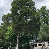 Review photo of Holiday Travel Park by Stephanie J., June 30, 2020