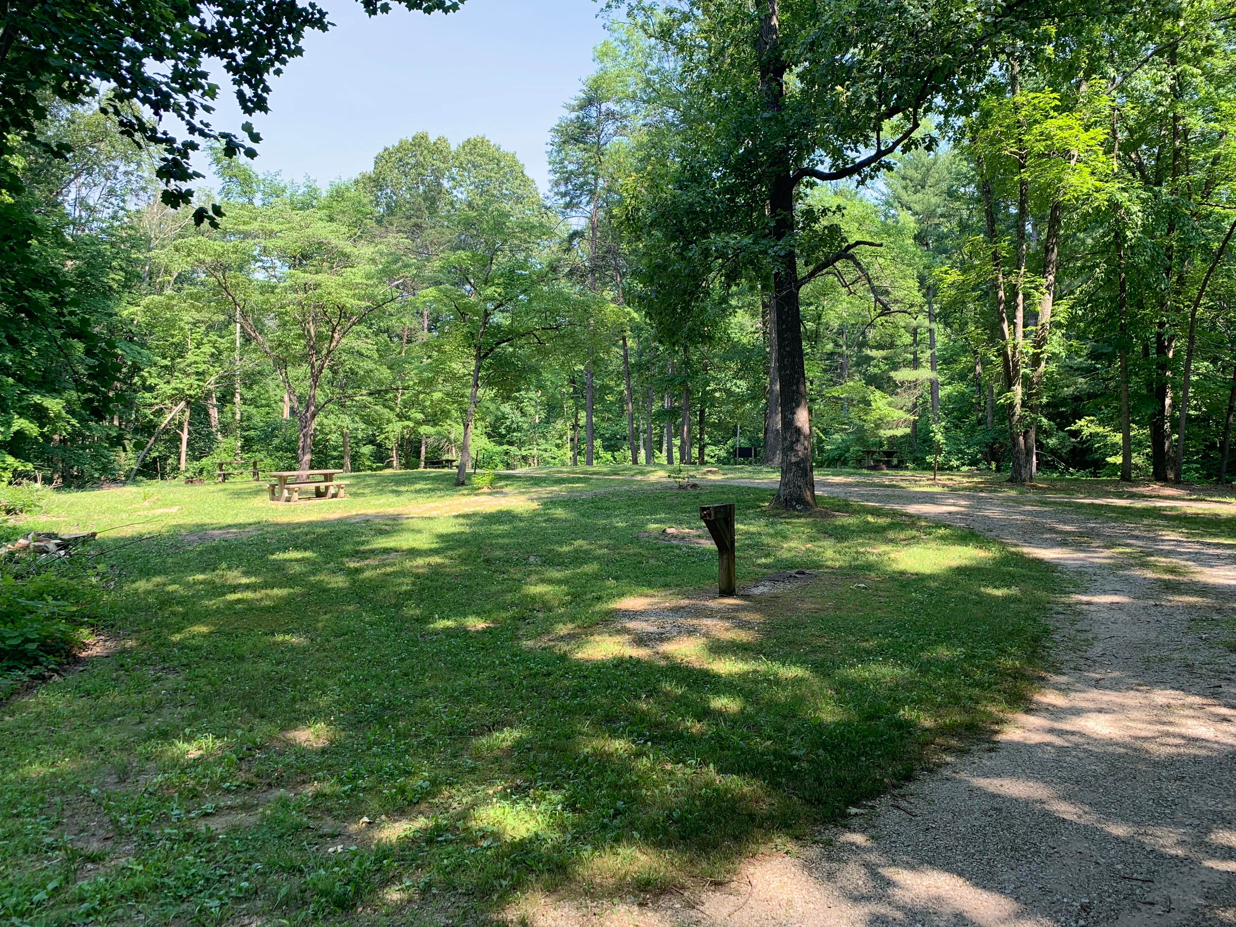Camper-submitted photo at Pike State Forest near Winslow, IN