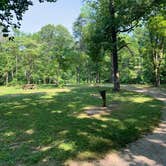 Review photo of Pike State Forest by Ron H., June 30, 2020