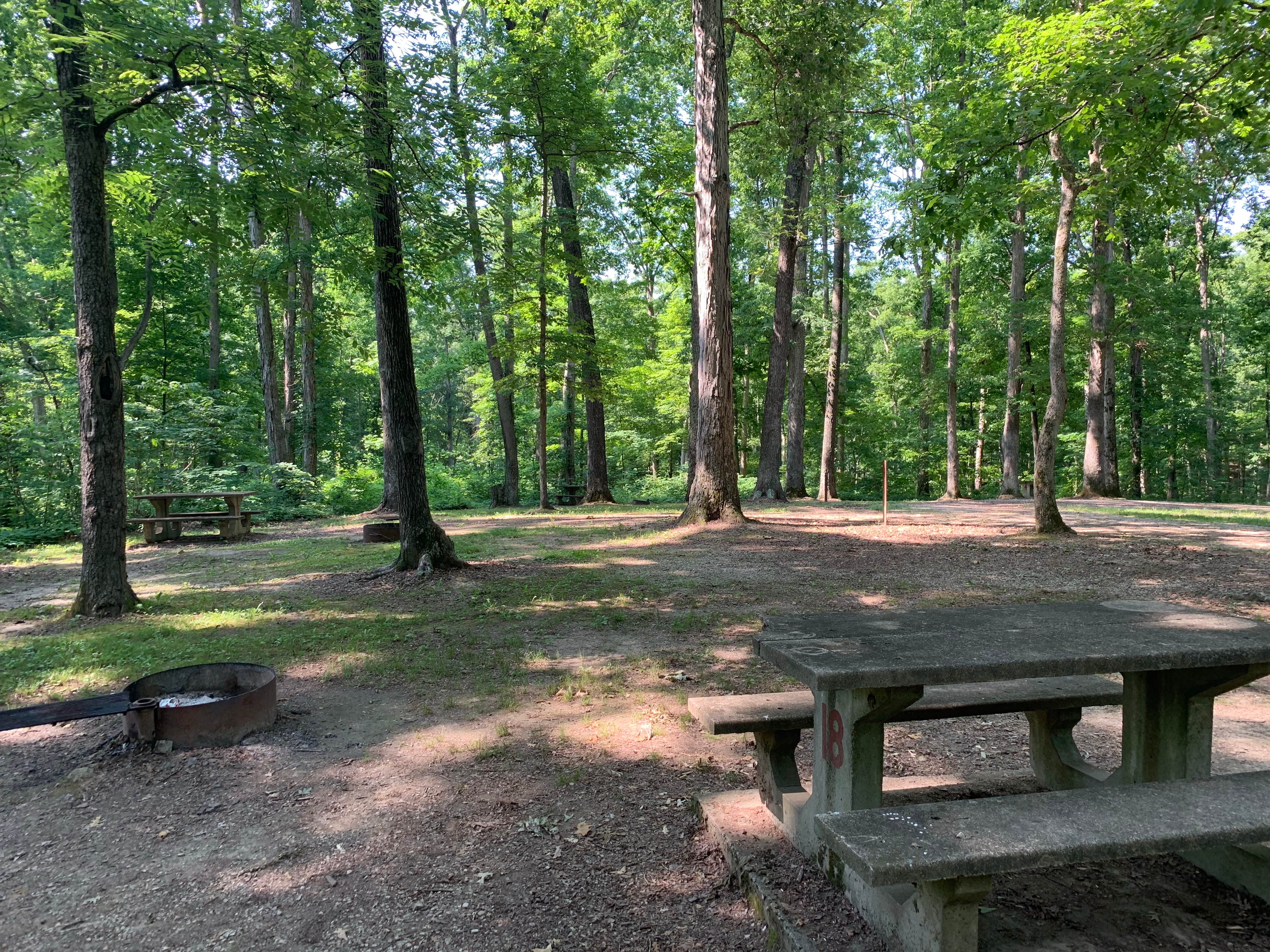 Camping near Prides Creek Co Park: Pike State Forest, Winslow, Indiana