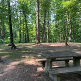 Review photo of Pike State Forest by Ron H., June 30, 2020
