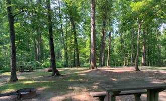 Camping near Scales Lake Park: Pike State Forest, Winslow, Indiana