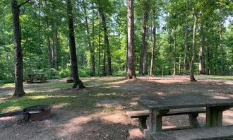 Camping near Glendale State Fish and Wildlife Area: Pike State Forest, Winslow, Indiana