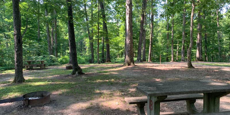 Camper submitted image from Pike State Forest