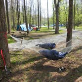 Review photo of Maple Grove (Campground G) — Jesse Owens State Park by Renée C., July 17, 2017