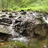 Review photo of John Bryan State Park Campground by Renée C., June 30, 2020