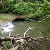 Review photo of John Bryan State Park Campground by Renée C., June 30, 2020