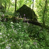 Review photo of John Bryan State Park Campground by Renée C., June 30, 2020