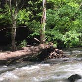 Review photo of John Bryan State Park Campground by Renée C., June 30, 2020