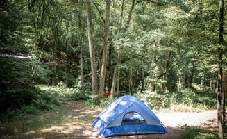 Stephanie J.'s photo at Your Toccoa River Cove near Epworth, GA