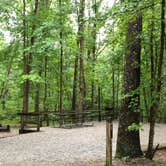 Review photo of Cloudland Canyon State Park Campground by Stephanie J., June 30, 2020