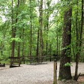 Review photo of Cloudland Canyon State Park Campground by Stephanie J., June 30, 2020