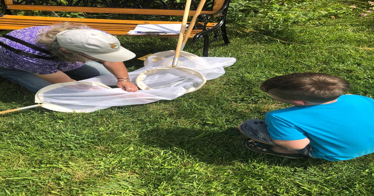 Campground 2 — Oahe Downstream Recreation Area