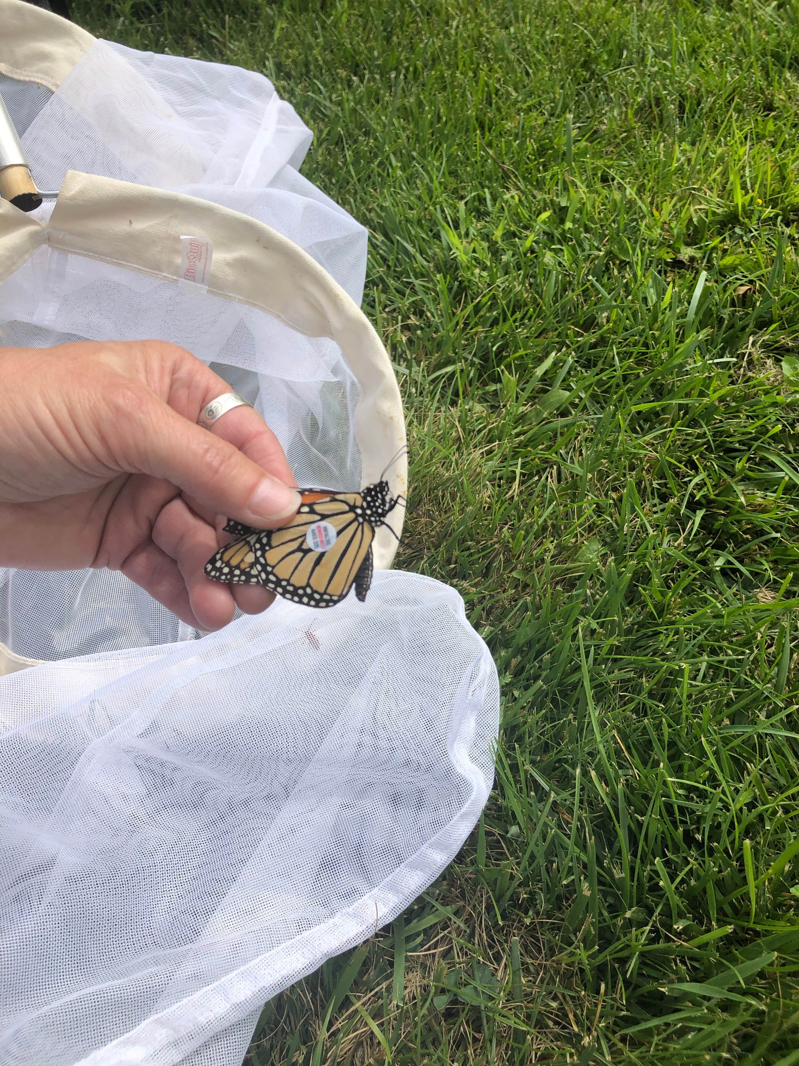 Camper-submitted photo at Campground 2 — Oahe Downstream Recreation Area near Fort Pierre, SD