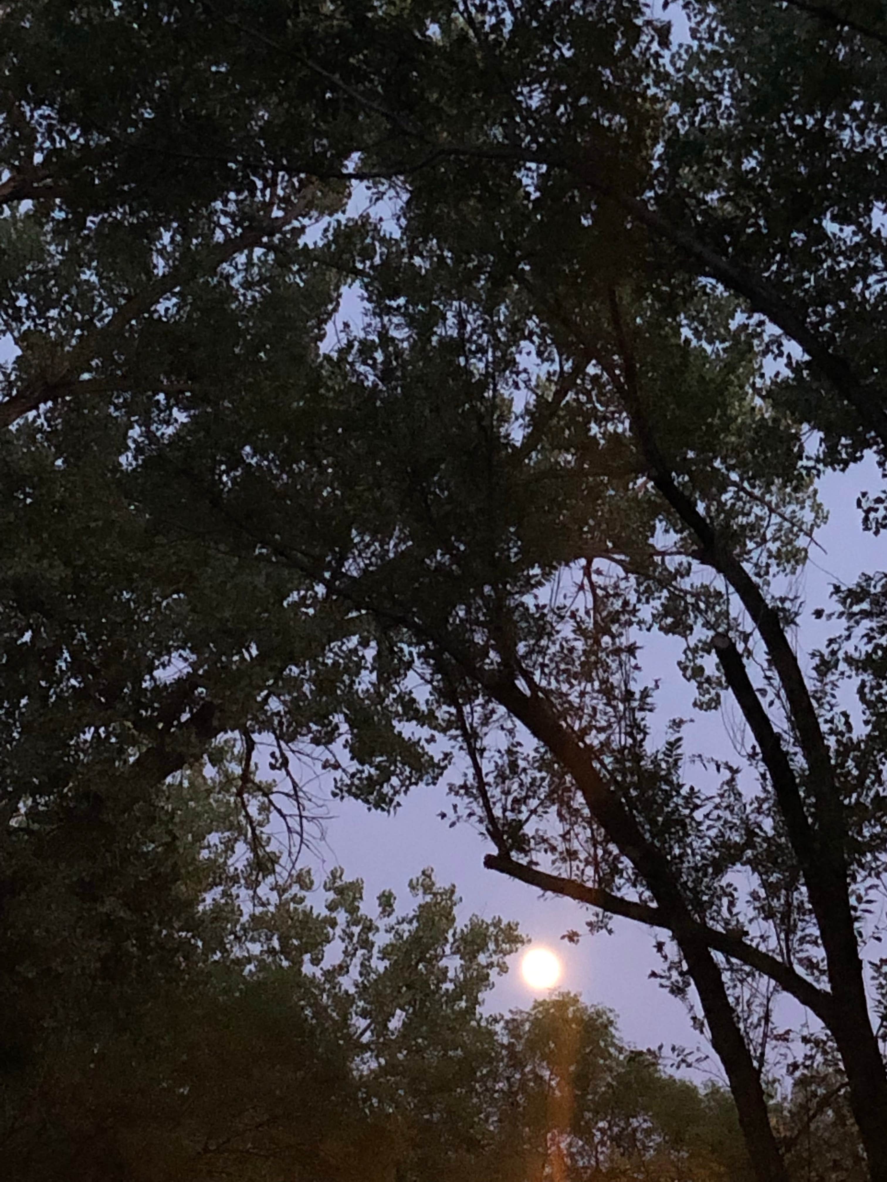 Camper-submitted photo at Campground 2 — Oahe Downstream Recreation Area near Fort Pierre, SD