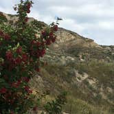 Review photo of Cottonwood Campground — Theodore Roosevelt National Park by Ason S., June 30, 2020