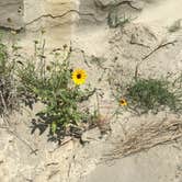 Review photo of Cottonwood Campground — Theodore Roosevelt National Park by Ason S., June 30, 2020